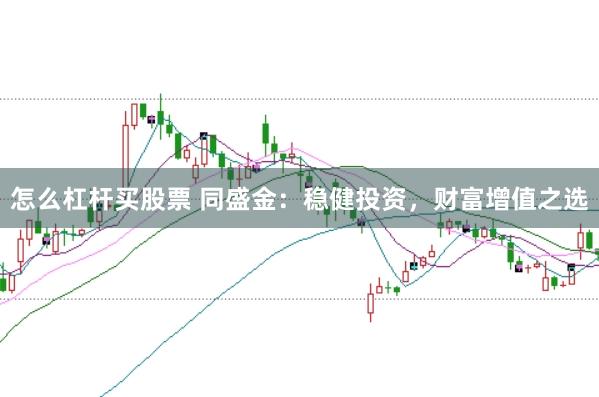 怎么杠杆买股票 同盛金：稳健投资，财富增值之选
