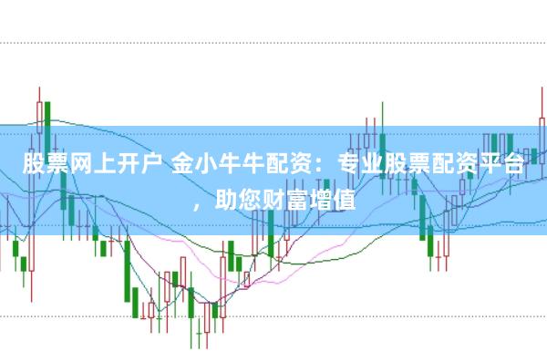 股票网上开户 金小牛牛配资:专业股票配资平台,助您财富增值